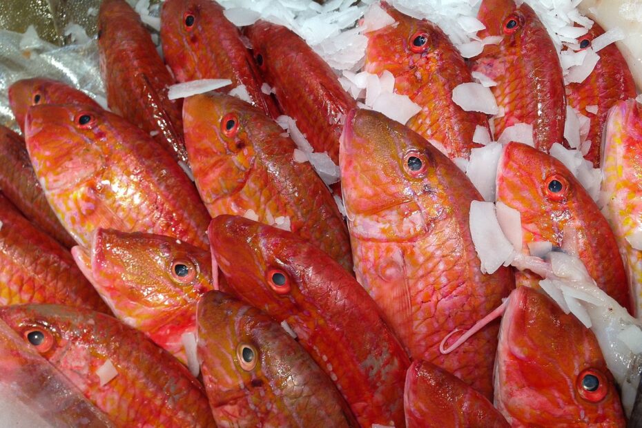 fish, red mullet, fish market